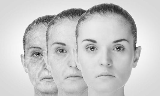 The science of how your body ages
